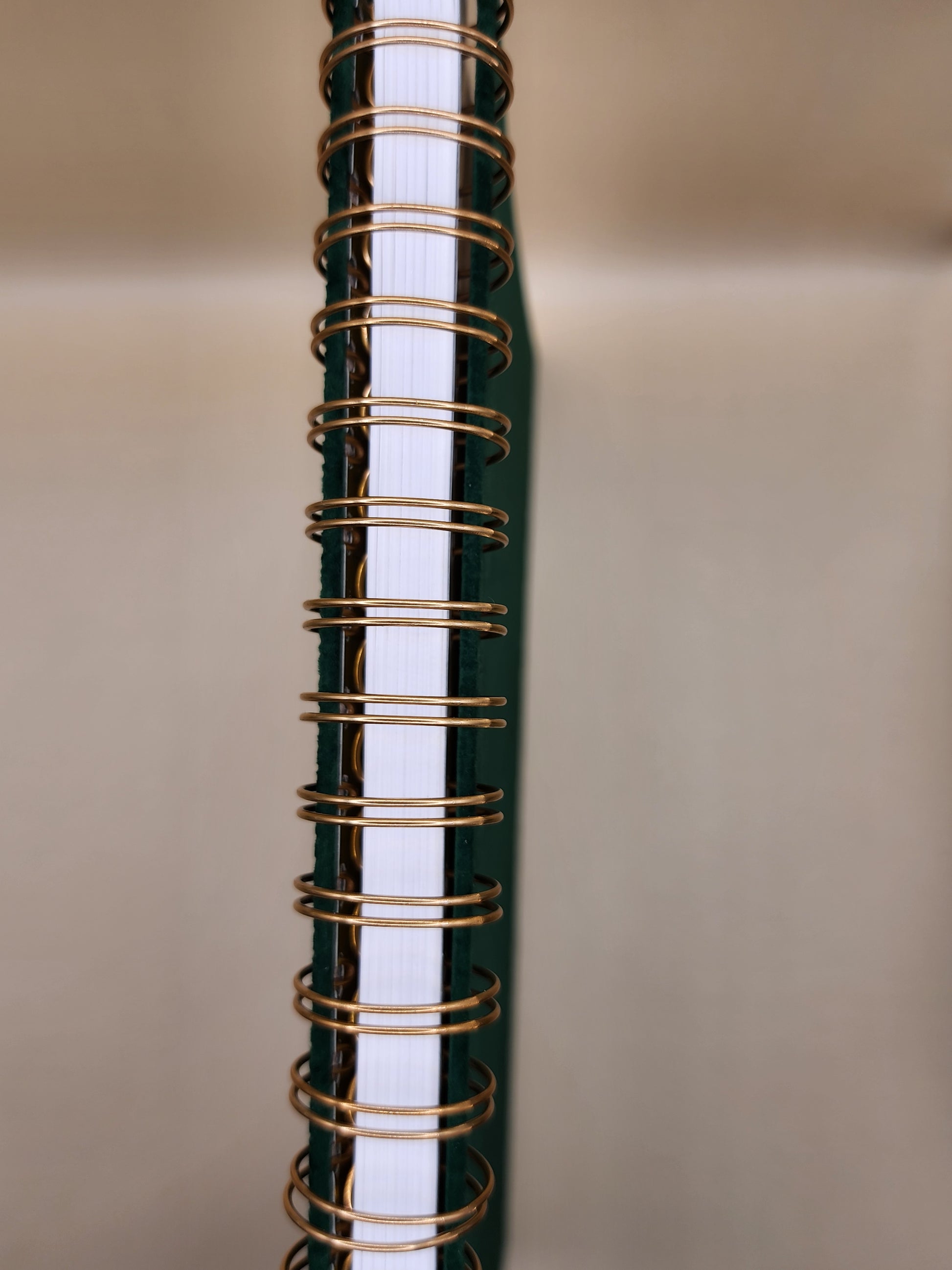 Green Velvet Material Journal